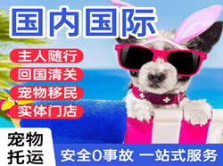 上海浦东航空托运国际宠物托运 【国